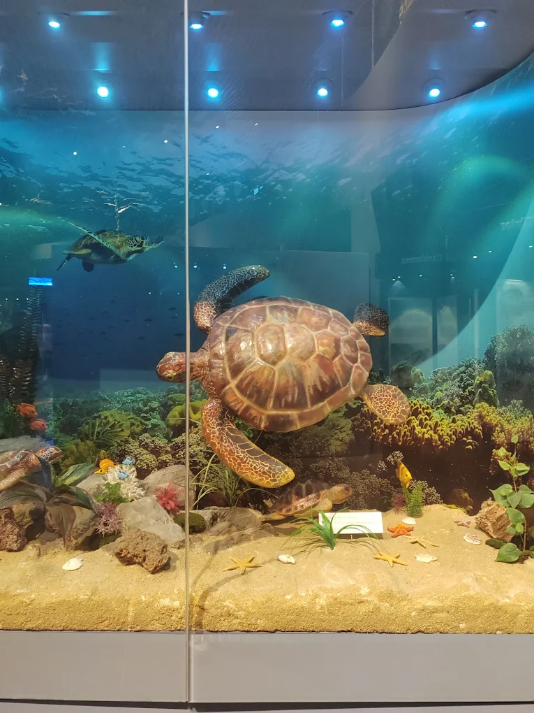 🏛️ Adana Biyolojik Çeşitlilik Müzesi