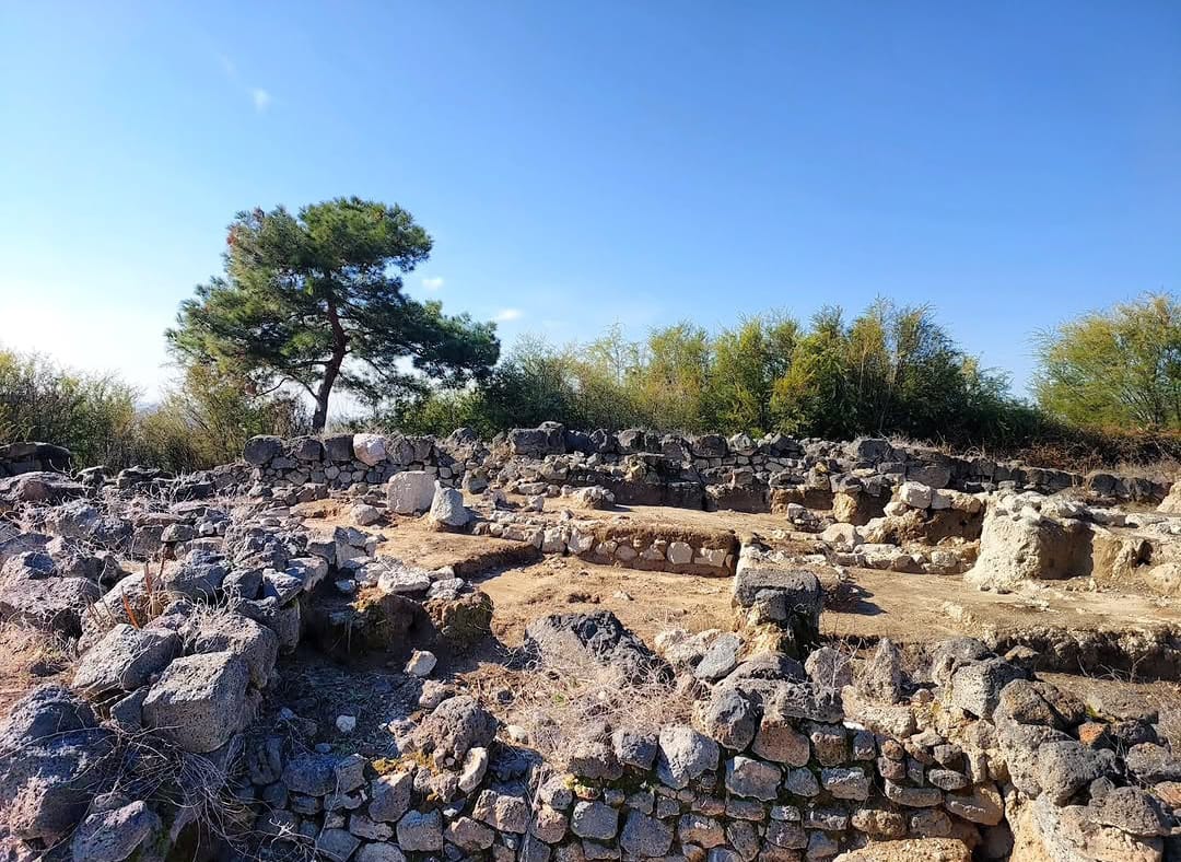 🏛️ Tatarlı Höyük
