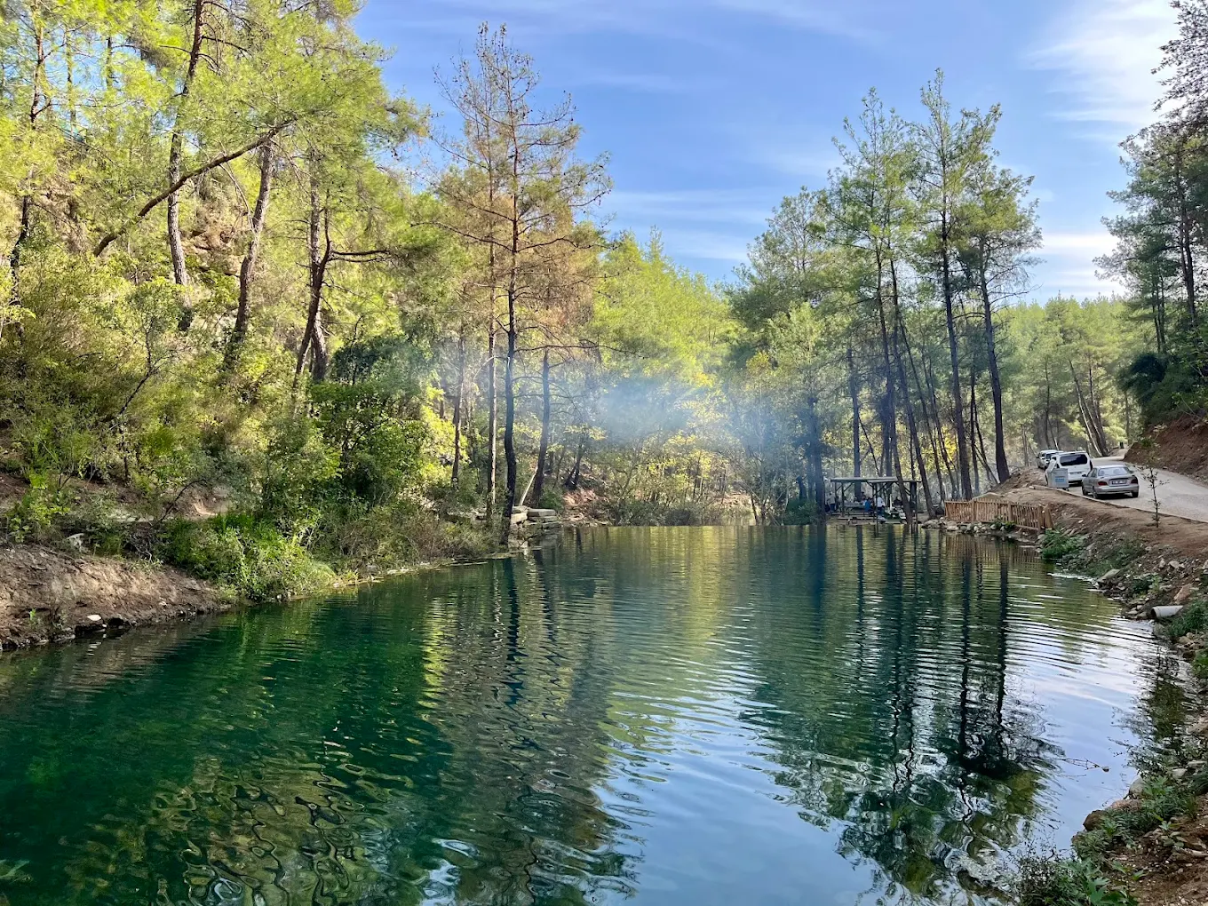 🌿 Yedigöze Orman Parkı